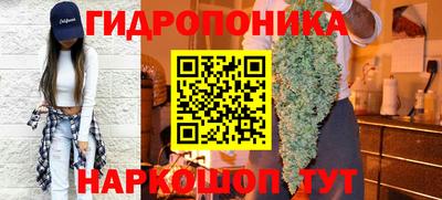 гидра Лесосибирск