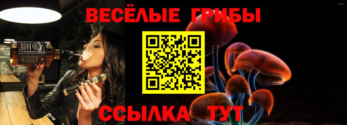 Псилоцибиновые грибы мицелий  Вход с VPN  Губкинский  Галлюциногенные грибы ЛСД 